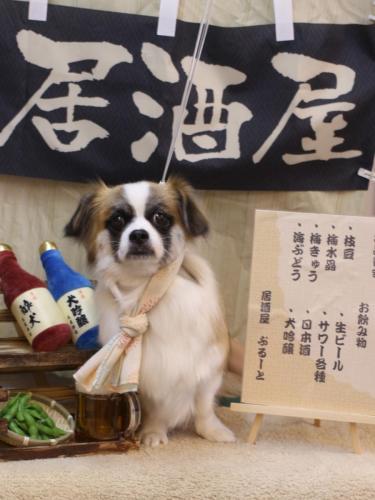 20240611マフィンちゃん